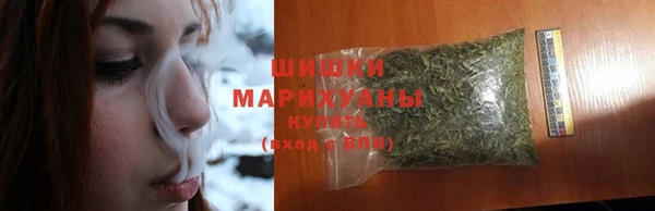 мдпв Лабытнанги