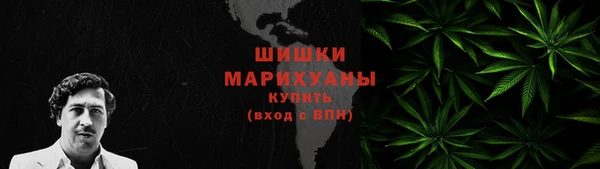 мдпв Лабытнанги