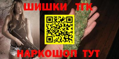 молекула духа Будённовск