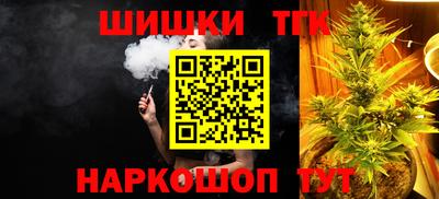 молекула духа Будённовск