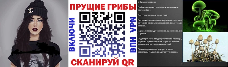 Галлюциногенные грибы GOLDEN TEACHER  Лесной 