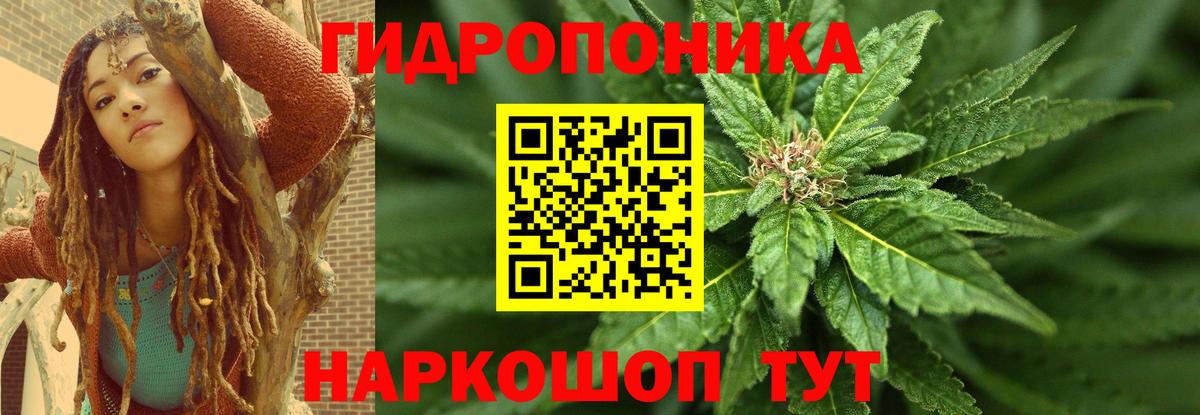 Бошки Шишки планчик  Марихуана OG Kush  Вход с VPN  Лесной 